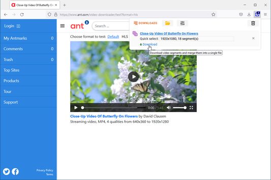 Ant Video Downloader Mozilla Addon download