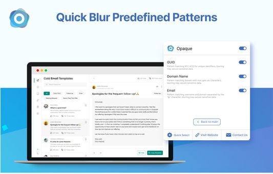 Use Quick Select to blur predefined patterns for GUID, Domain Names, or Emails.