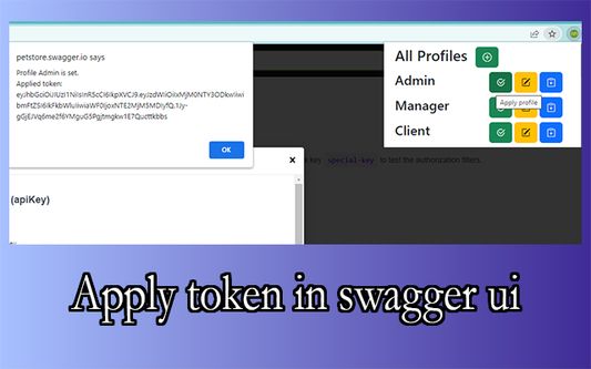 Apply token in swagger ui