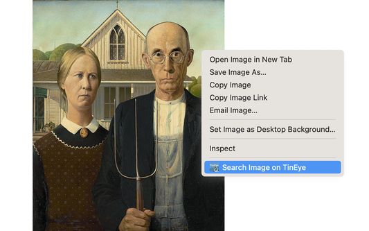 The TinEye browser add-on is the fastest way to search for web images right from Firefox. Right-click on any web image and select 'Search Image on TinEye'.