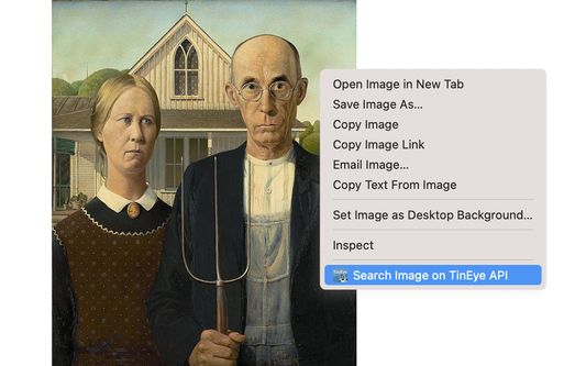 The TinEye API browser add-on is the fastest way to search for web images right from Firefox. Right-click on any web image and select 'Search Image on TinEye API'.