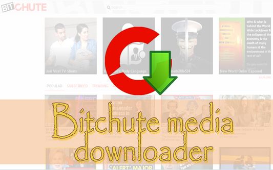 Bitchute media downloader
