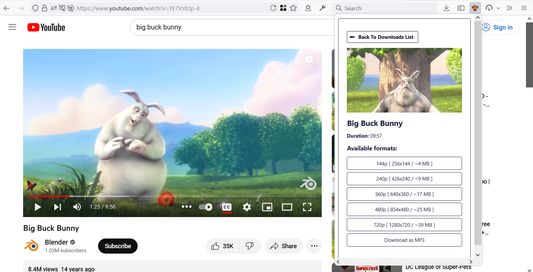 Download videos from many video websites with your preferred quality or download them as audio.