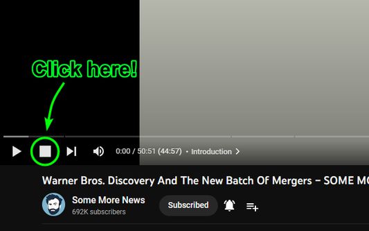 Click on the square to set the video to stop when it reaches the next chapter.