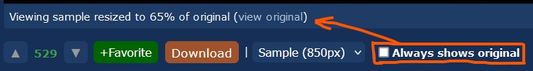 Checkbox to always shows  original image