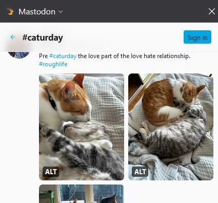 A demonstration of the Mastodon Elk sidebar showing a post for caturday, complete with text, images, and a blur effect