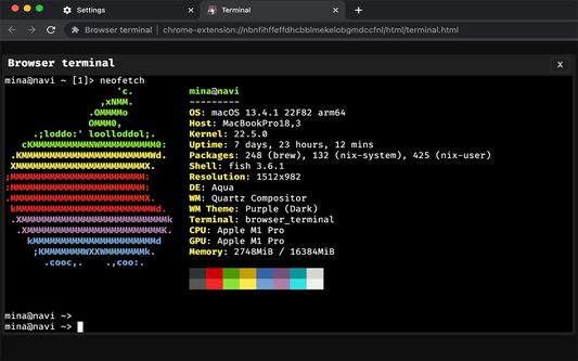 Screenshot showing neofetch in the browser