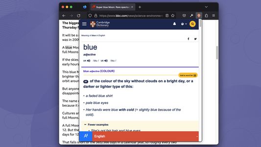 Cambridge Dictionary view