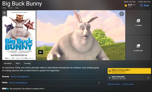 IMDB page after selection