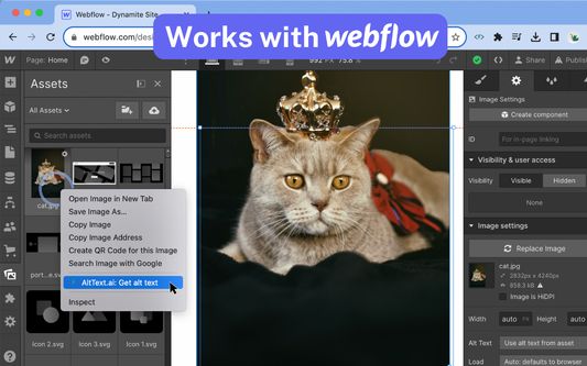 Works with your WebFlow images