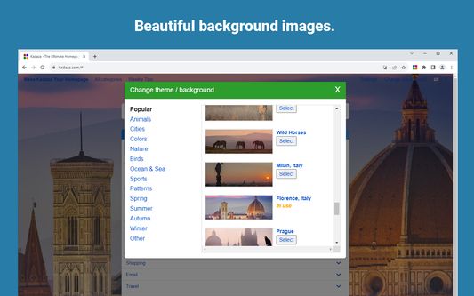 Customize your start page with colors, patterns and images and instantly change the way your personal homepage looks. You can filter the backgrounds by themes, such as nature, cities, animals and more.
