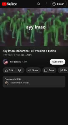 A page of Mobile YouTube playing a video titled "Ayy lmao Macarena Full Version + Lyrics". There are no ads, and the video is playable. To keep focus on the video, the recommended feed is removed from the screenshot. This does not happen when used normally.