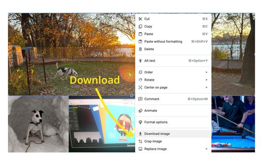 Download image near the Resize/Crop options on your own documents.