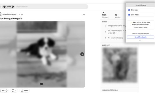 Grayscaled and blurred social media page with extension popup shown.