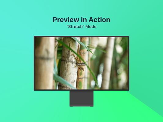 Preview in Action
"Stretch" Mode