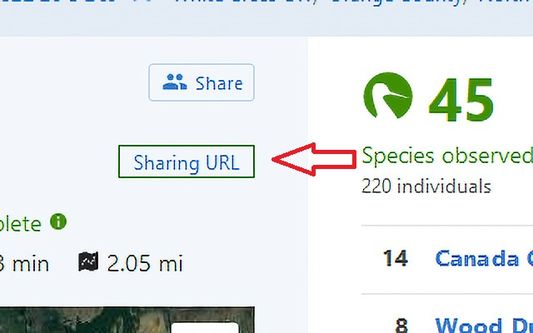 Showing the Sharing URL button