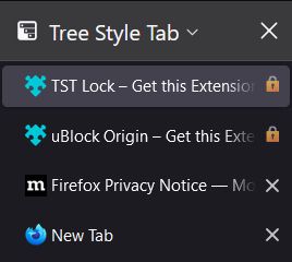 Default view on Windows 11 before any CSS applied.