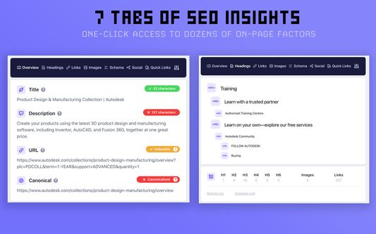 7 tabs of SEO insights