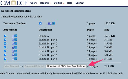 Download button displayed on a PACER docket entry