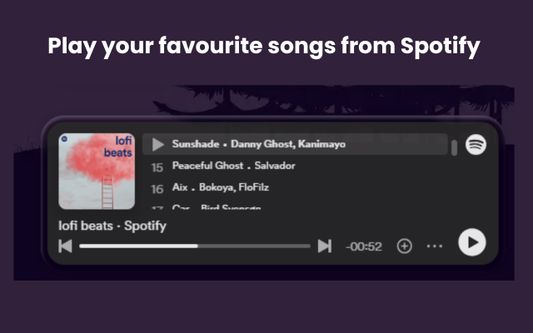 Play your favorite song or playlist from Spotify