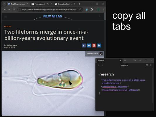 double-click the icon to copy links for all tabs
