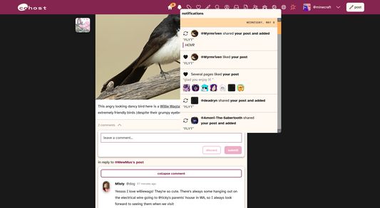 The cohost feed, modified to display in a horizontal navigation layout and showcasing popover notifications and inline comments.