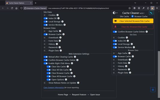 Options Page with Browser Popup