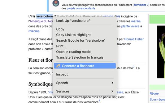 1. Select text and right-click: Highlight a word or phrase, right-click, and choose the option to generate a flashcard.