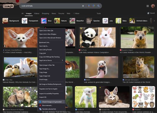 Right-click menu for checking images