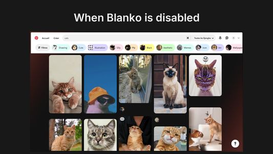 Blanko Disabled