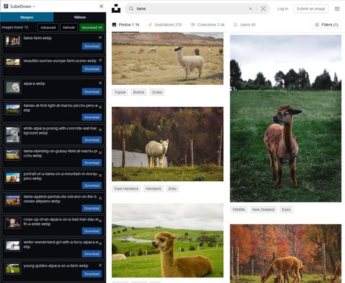 Download images on a web page