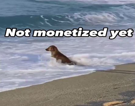 When a YouTube channel has below 1,000 subscribers, it is not eligible for monetization