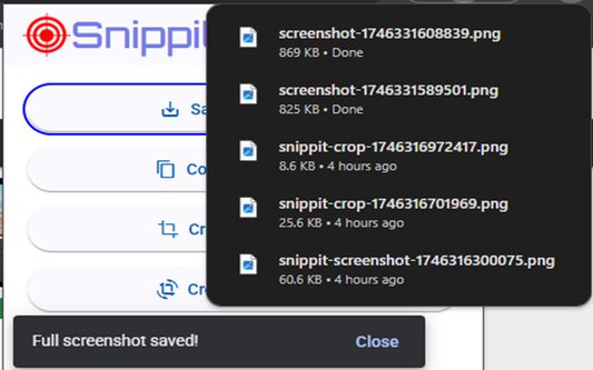You can download your screenshots directly to your computer!
