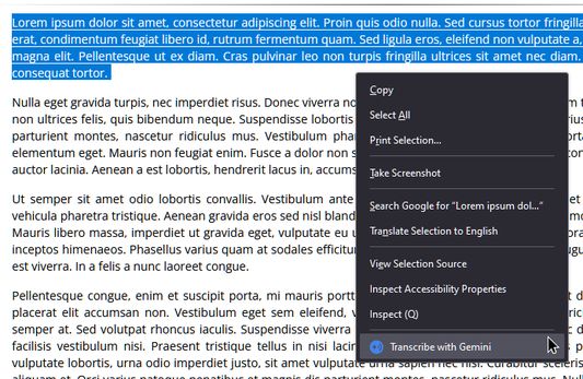 Text selected to be transcribed.