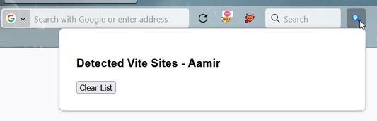 Extension with empty list when no Vite website is detected