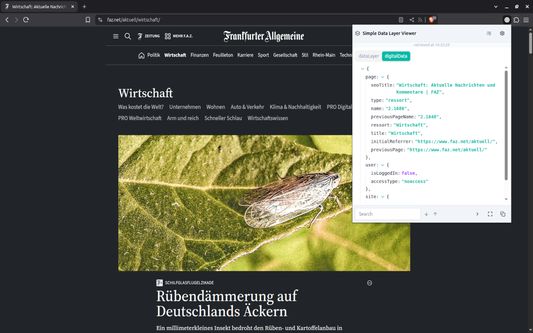 Simple Data Layer Viewer Popup