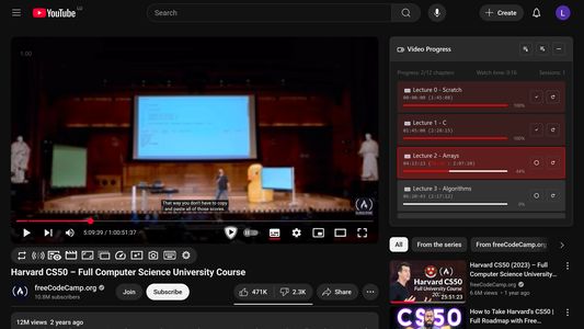 Chapter Progress window next to video