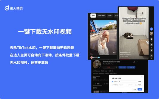 一键下载无水印视频