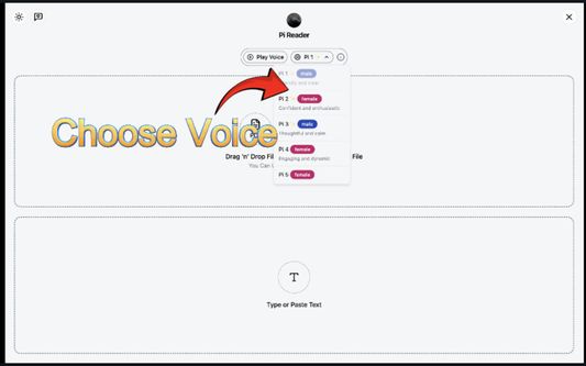 Choose your voice