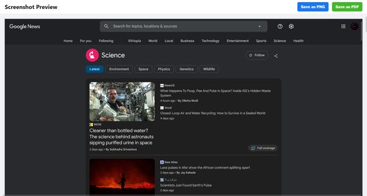 Screenshot preview and saving options