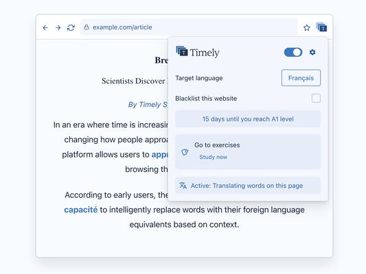 The options menu of the extension.