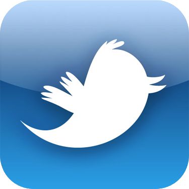 Twitter App Mozilla Addon download