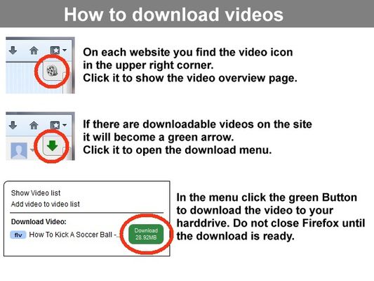 How to use Video Downloader professional
