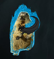 Wužywaŕski awatar