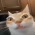 Avatar uživatele