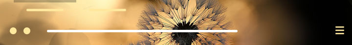 Pré-visualização de Florals by M♥Donna