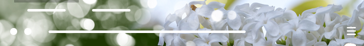 Vorschau von White Lilacs by M♥Donna