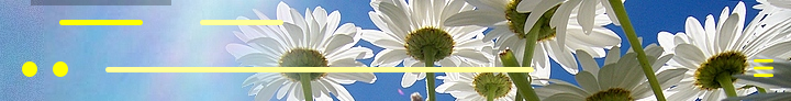 Pregled za pushing up daisies by candelora