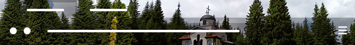 Church between pines !
