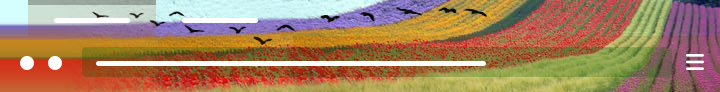 Pśeglěd za Fields with five colors